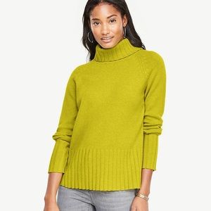 Ann Taylor Sweater Turtleneck